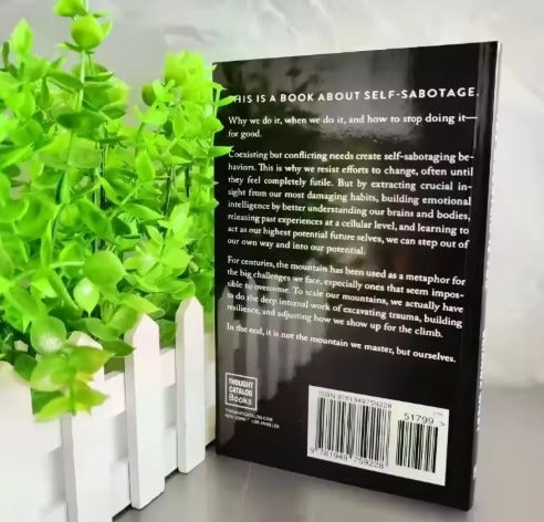 The Mountain Is You: Transforming Self-Sabotage Into Self-mastery English Books Birthday Gifts