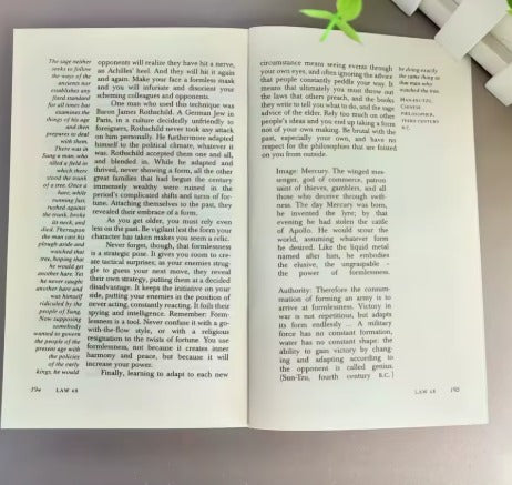 The Concise 48 Laws of Power English Book By Robert Greene - Political Leadership Philosophy Motivation for Adults